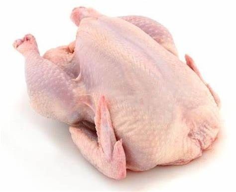 Fresh Chickens